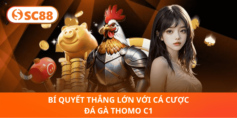 Bí Quyết Thắng Lớn Với Cá Cược Đá Gà Thomo C1