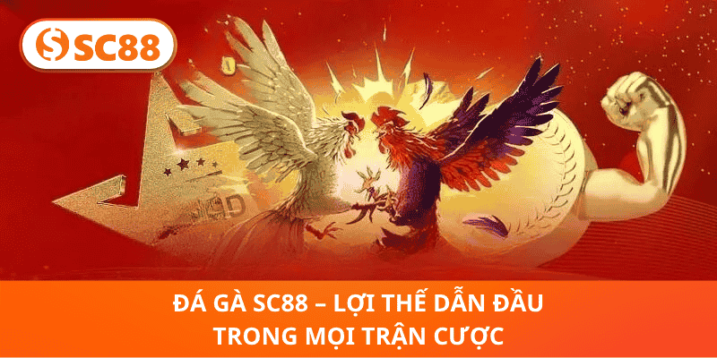Đá Gà SC88 – Lợi Thế Dẫn Đầu Trong Mọi Trận Cược